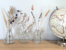 Load image into Gallery viewer, Plain Glass Bud Vases - Set of 3