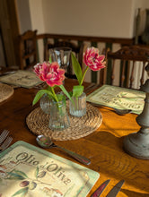 Load image into Gallery viewer, Plain Glass Bud Vases - Set of 3