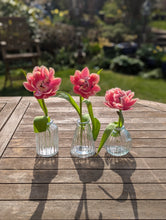 Load image into Gallery viewer, Plain Glass Bud Vases - Set of 3