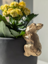 Load image into Gallery viewer, Golden Rabbit Planter