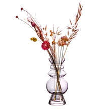Load image into Gallery viewer, Selina Glass Vase Clear