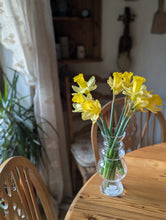 Load image into Gallery viewer, Selina Glass Vase Clear