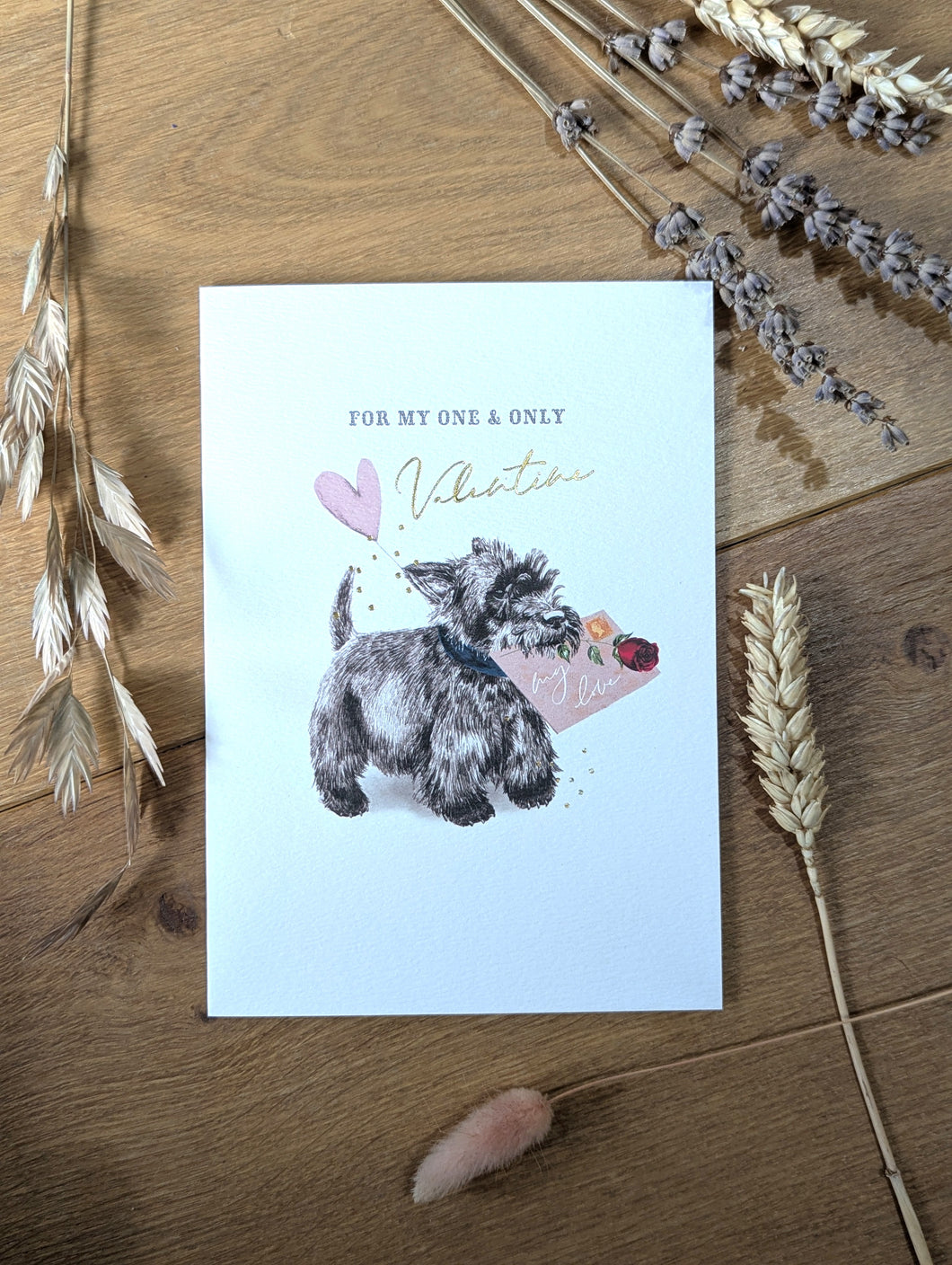 Stephanie Davies - For my one & only Valentine