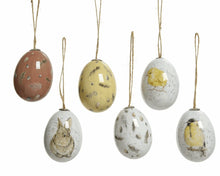 Load image into Gallery viewer, Decorative Feather &amp; Animal Eggs Set of 6
