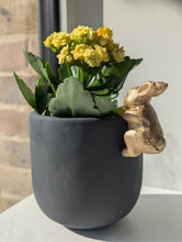Load image into Gallery viewer, Golden Rabbit Planter
