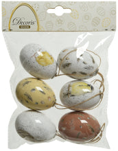Load image into Gallery viewer, Decorative Feather &amp; Animal Eggs Set of 6
