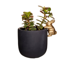 Load image into Gallery viewer, Golden Rabbit Planter
